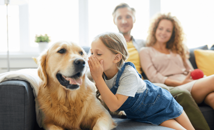 emotional support dog autism
